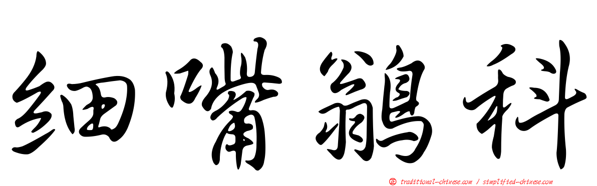 細嘴鶲科