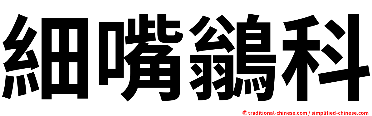 細嘴鶲科