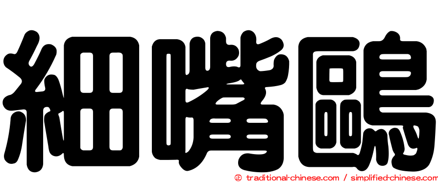 細嘴鷗