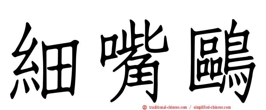 細嘴鷗