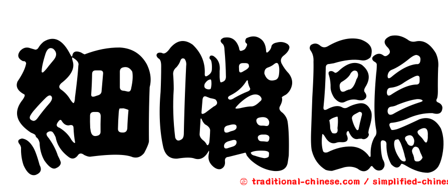 細嘴鷗