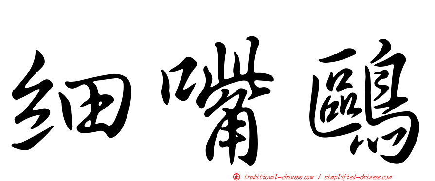細嘴鷗