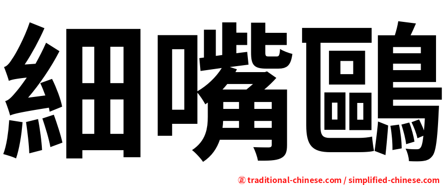 細嘴鷗
