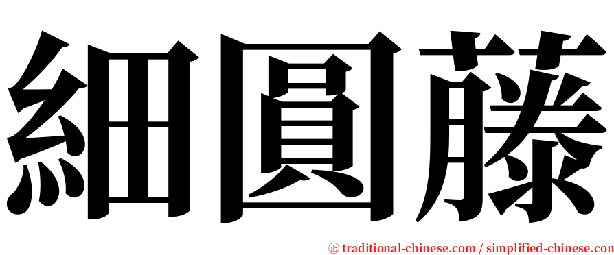 細圓藤 serif font