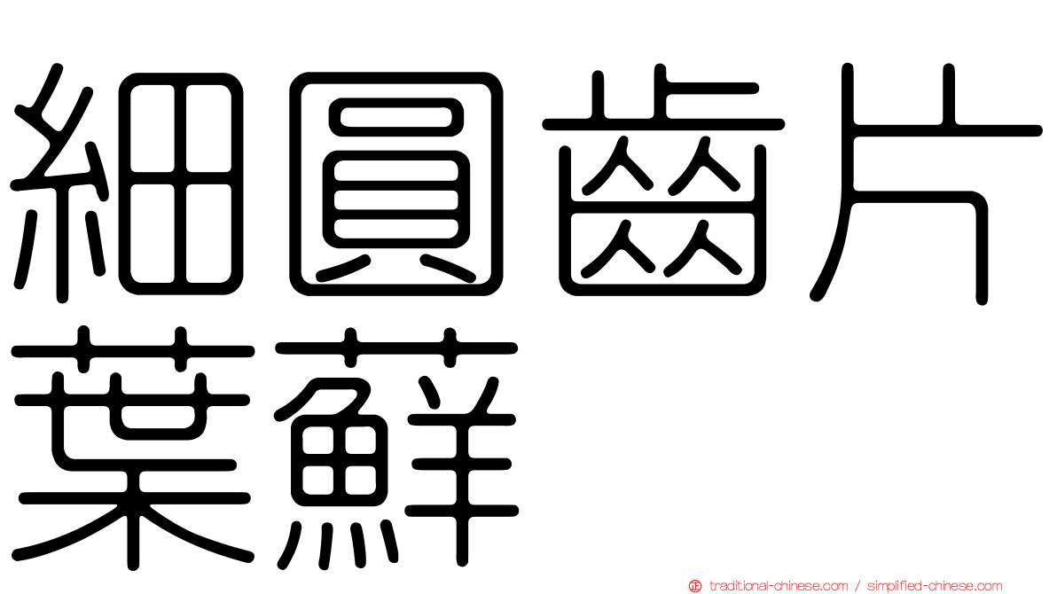 細圓齒片葉蘚