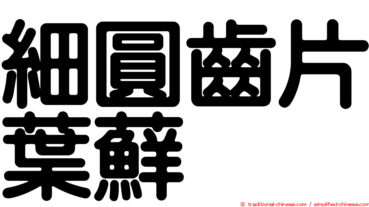 細圓齒片葉蘚