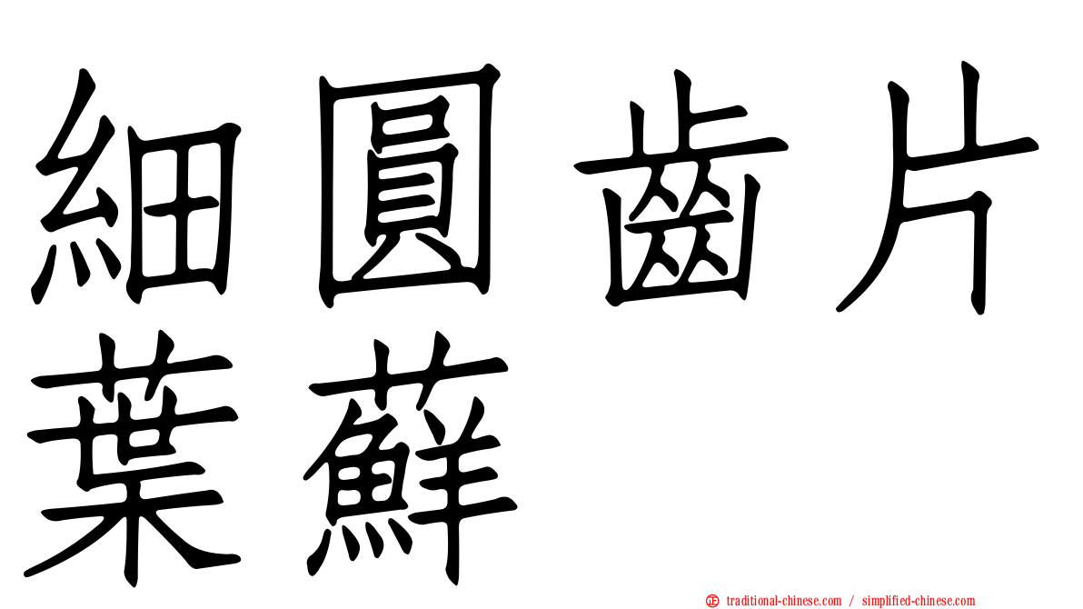 細圓齒片葉蘚