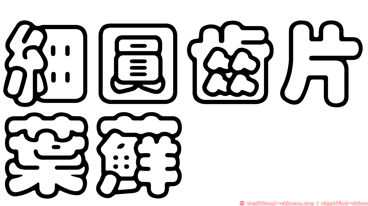 細圓齒片葉蘚
