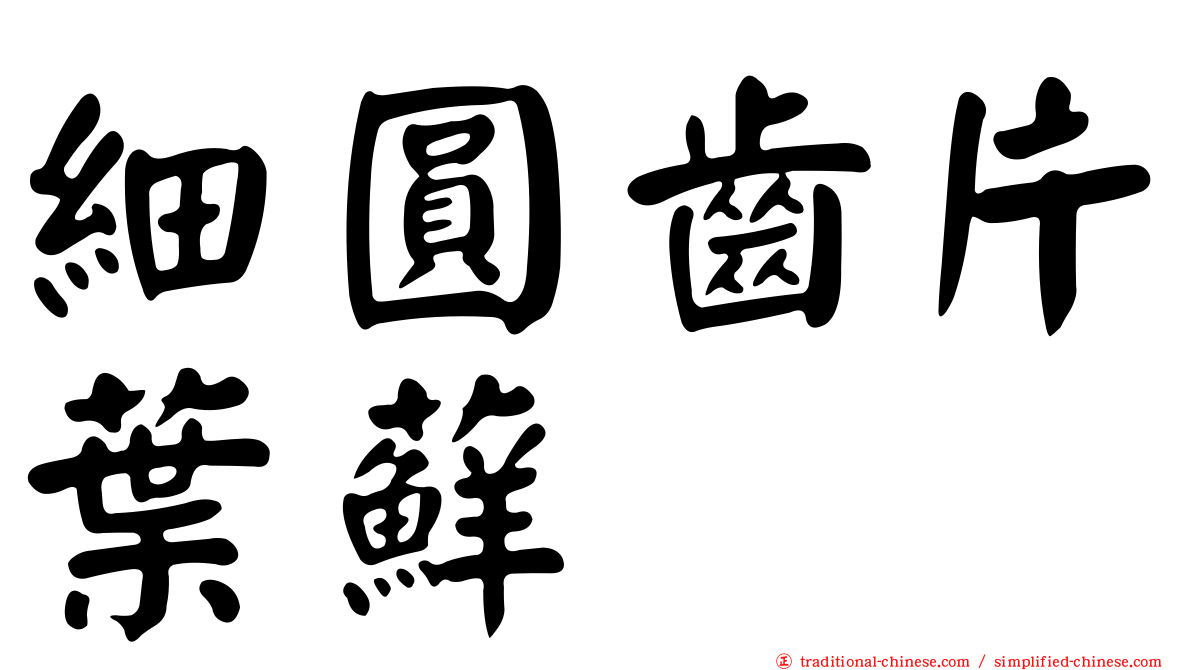 細圓齒片葉蘚