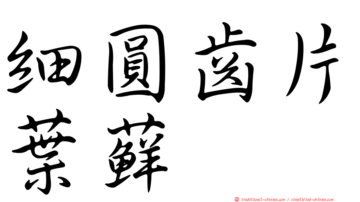 細圓齒片葉蘚