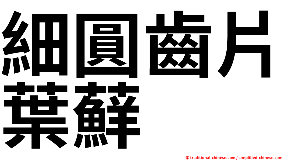 細圓齒片葉蘚