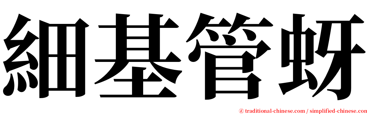 細基管蚜 serif font