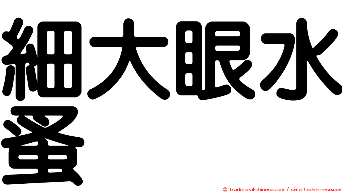 細大眼水蚤