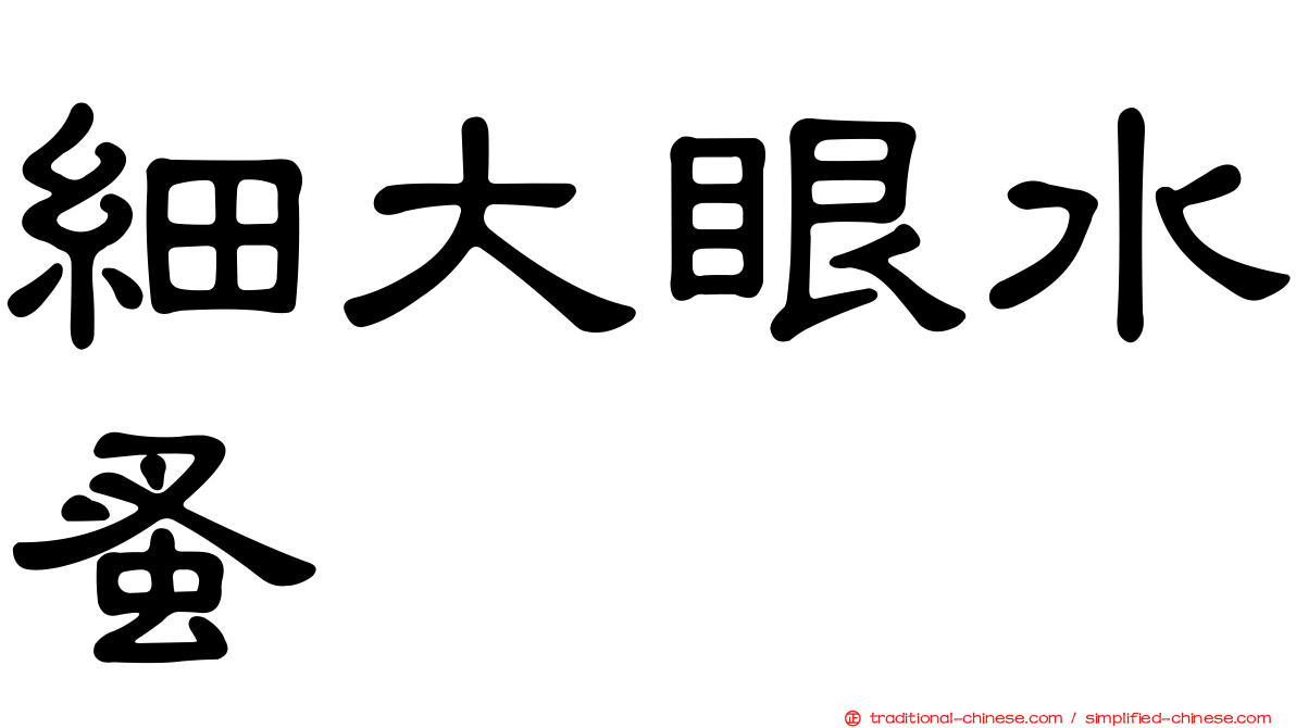 細大眼水蚤