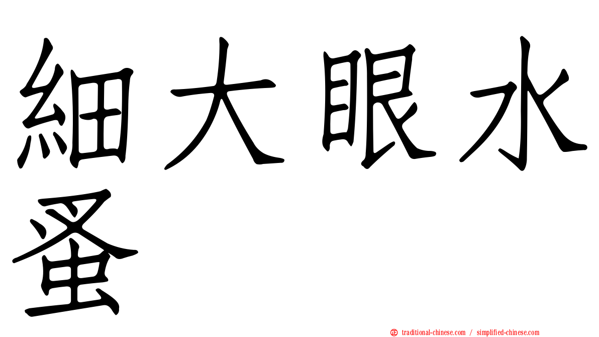 細大眼水蚤