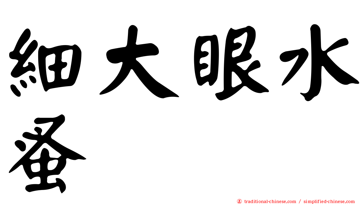 細大眼水蚤