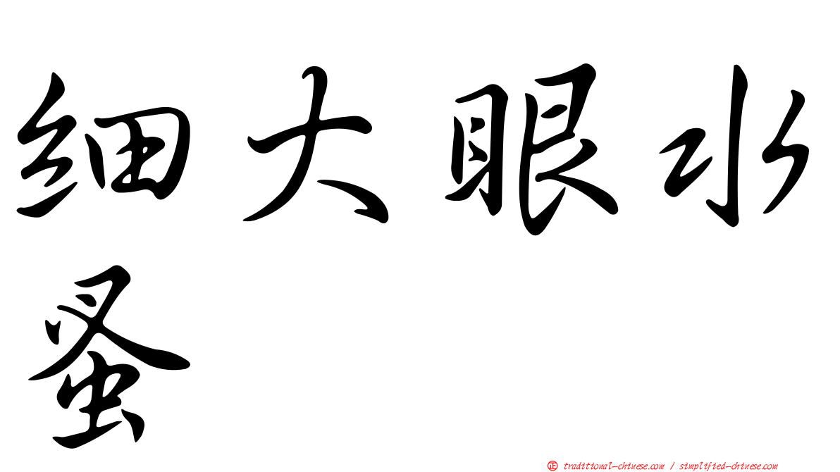 細大眼水蚤