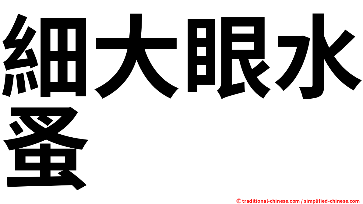 細大眼水蚤