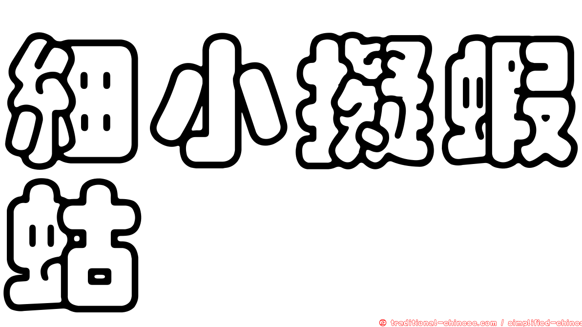細小擬蝦蛄