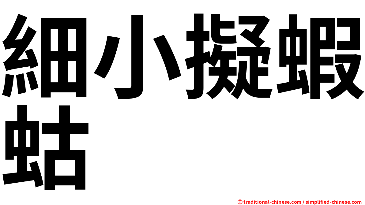 細小擬蝦蛄