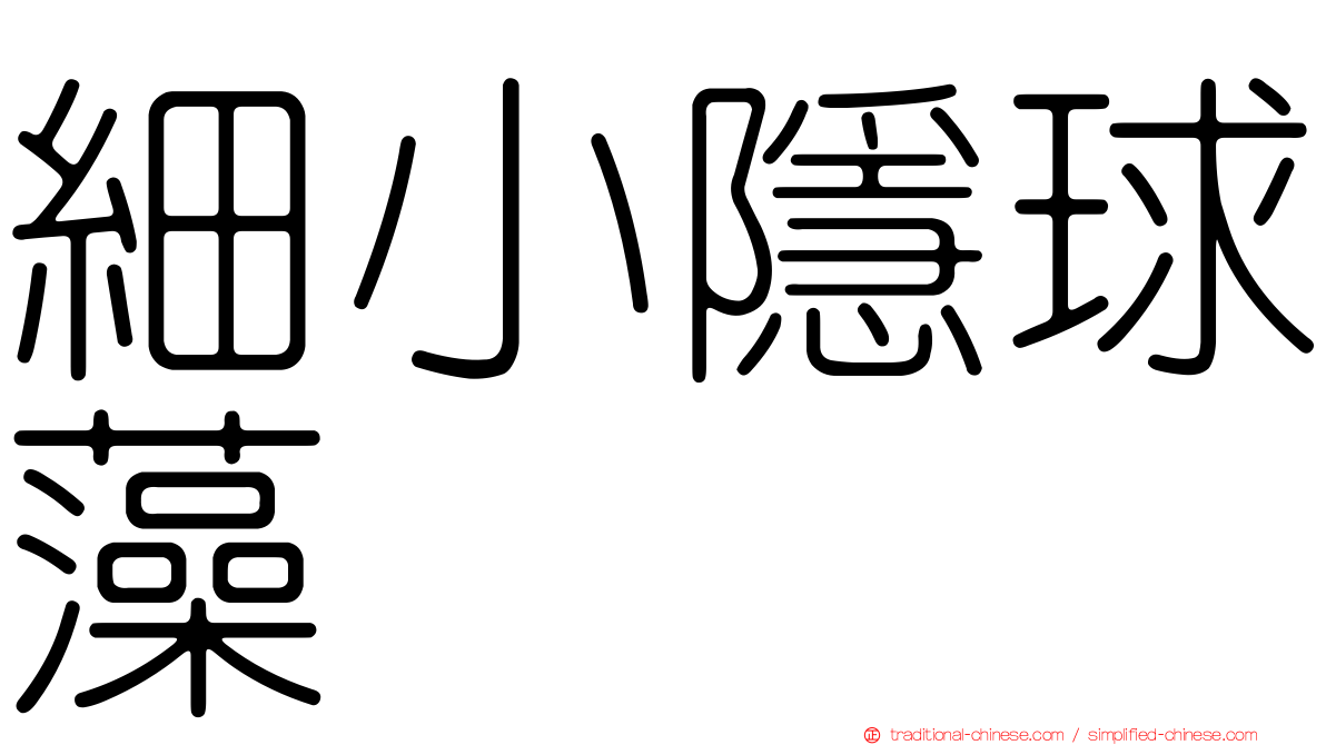 細小隱球藻