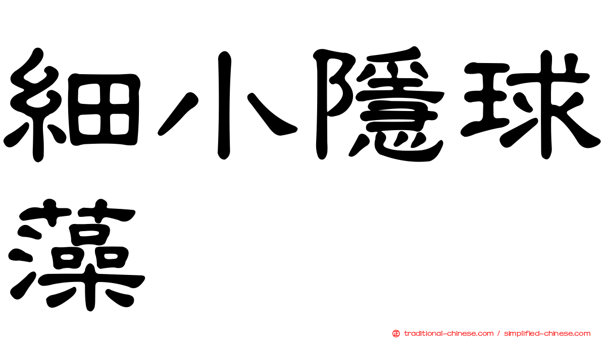 細小隱球藻