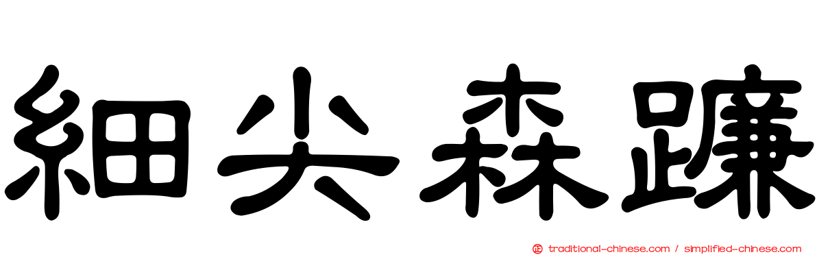 細尖森蠊