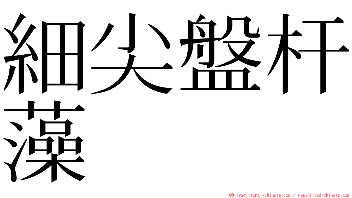 細尖盤杆藻 ming font