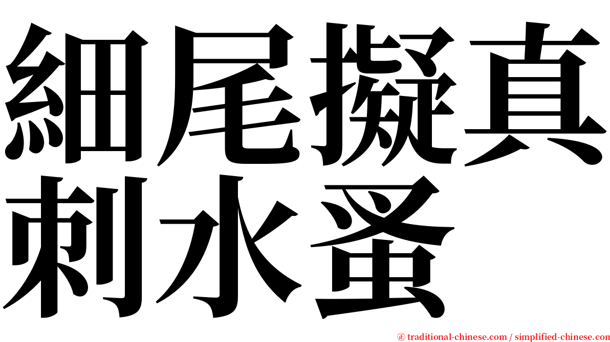 細尾擬真刺水蚤 serif font