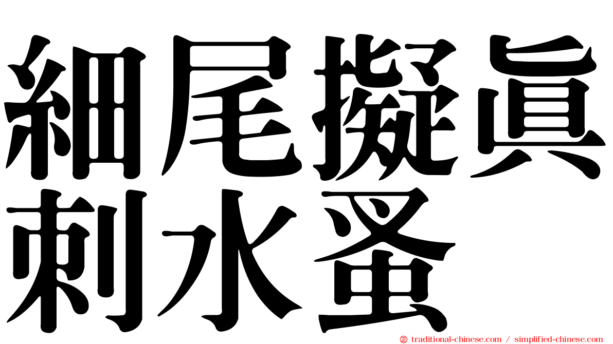 細尾擬真刺水蚤