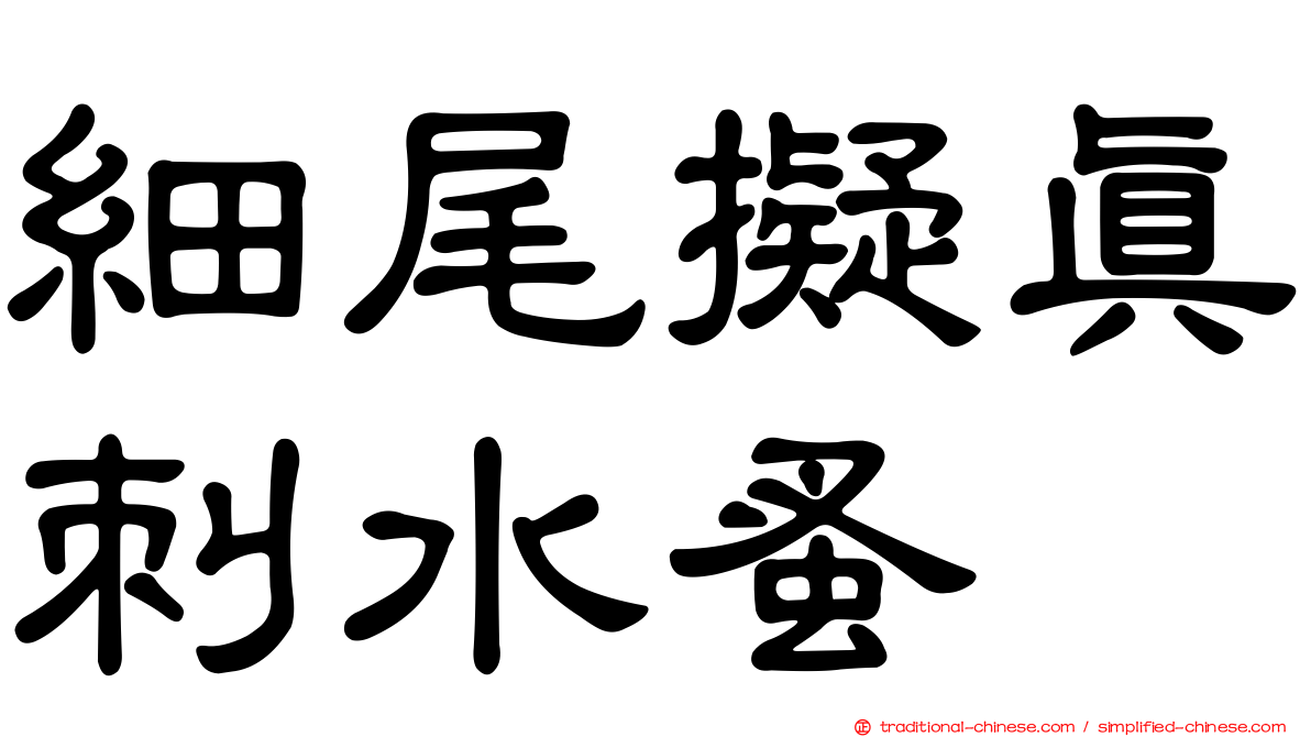 細尾擬真刺水蚤