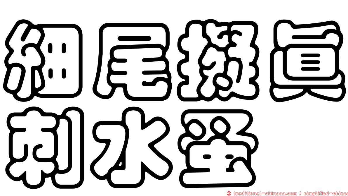 細尾擬真刺水蚤