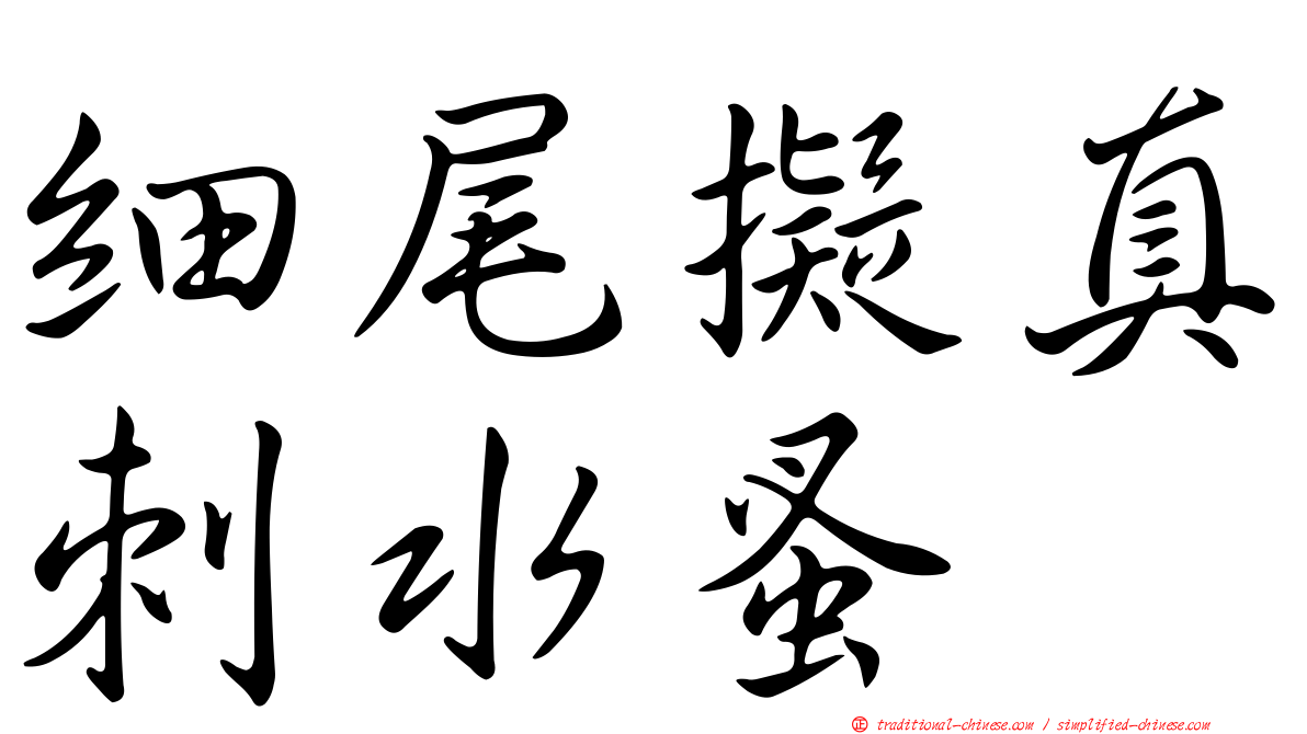 細尾擬真刺水蚤