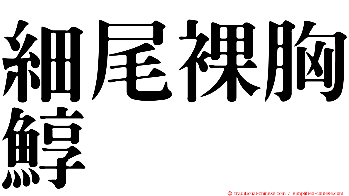 細尾裸胸鯙