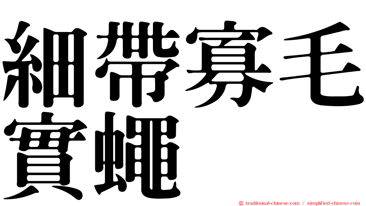 細帶寡毛實蠅