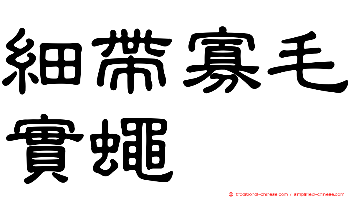 細帶寡毛實蠅