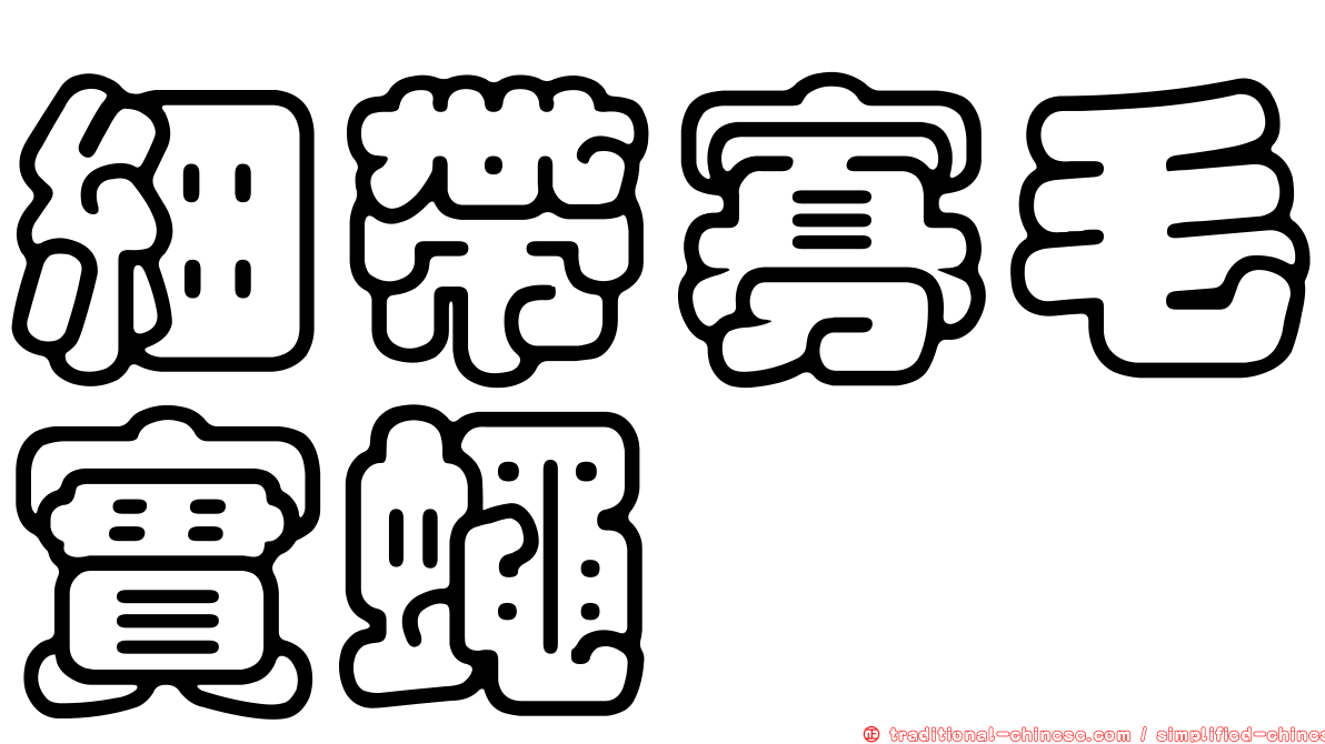 細帶寡毛實蠅