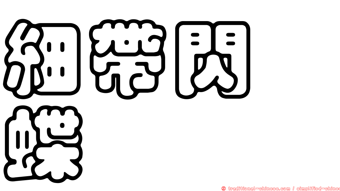 細帶閃蛺蝶