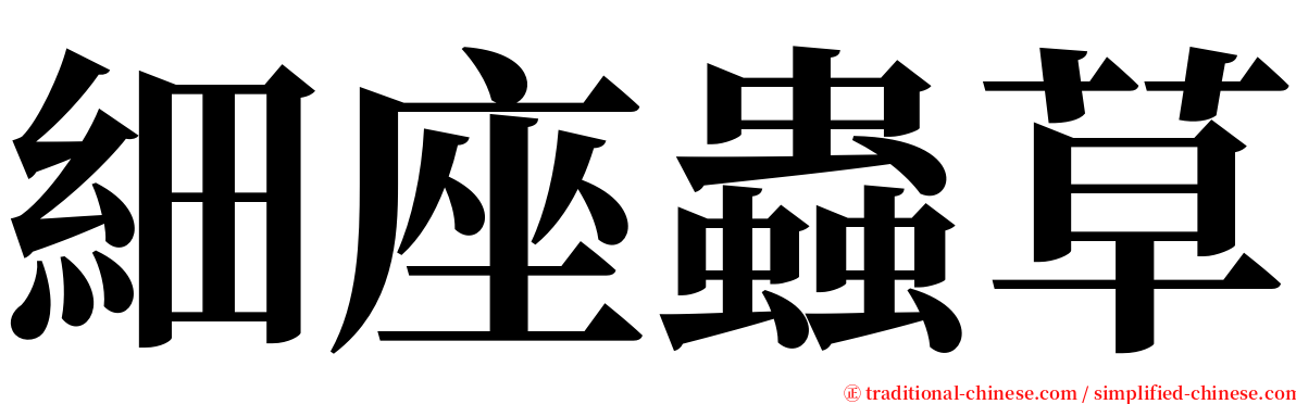 細座蟲草 serif font