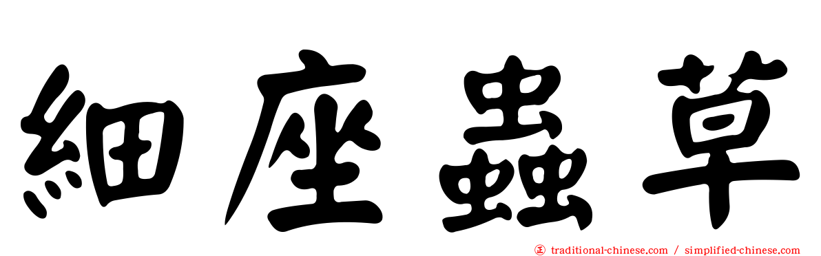 細座蟲草