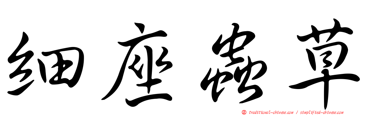 細座蟲草