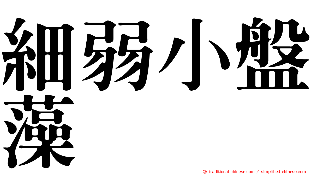 細弱小盤藻