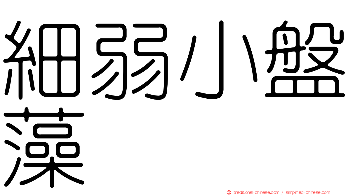細弱小盤藻