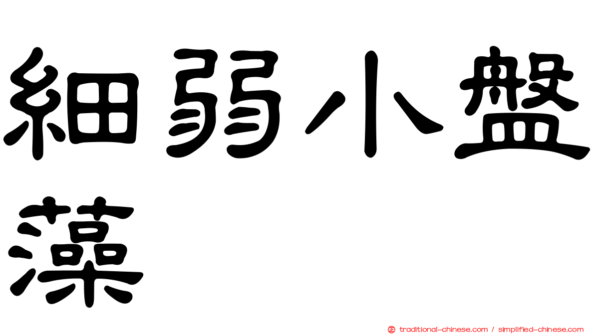 細弱小盤藻
