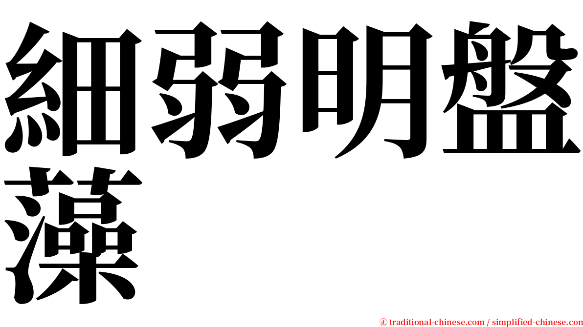 細弱明盤藻 serif font