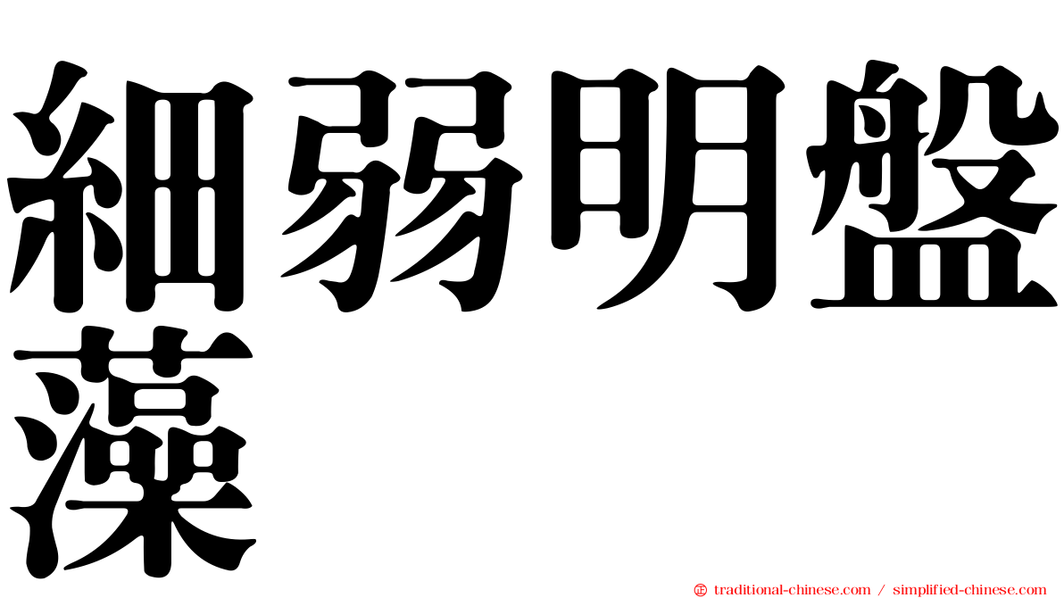 細弱明盤藻