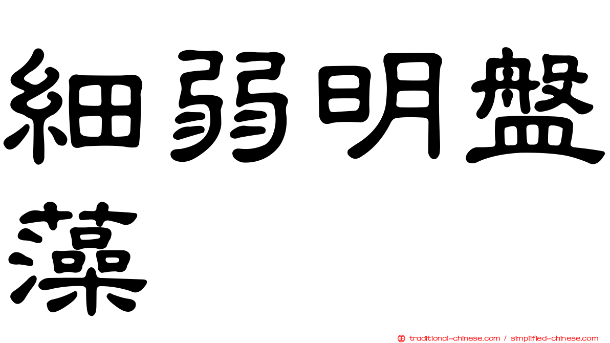 細弱明盤藻