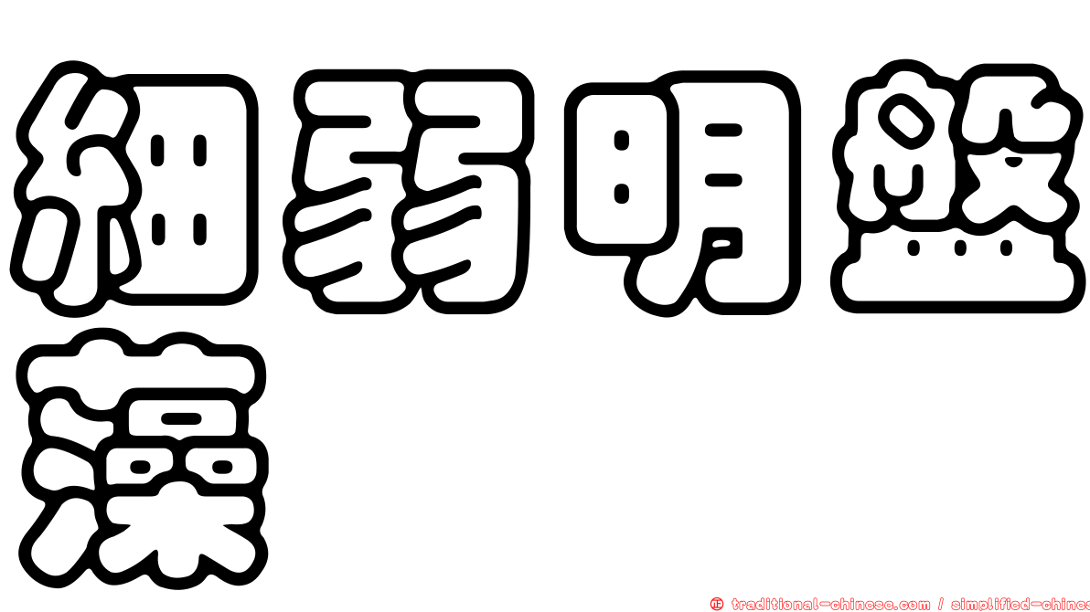 細弱明盤藻
