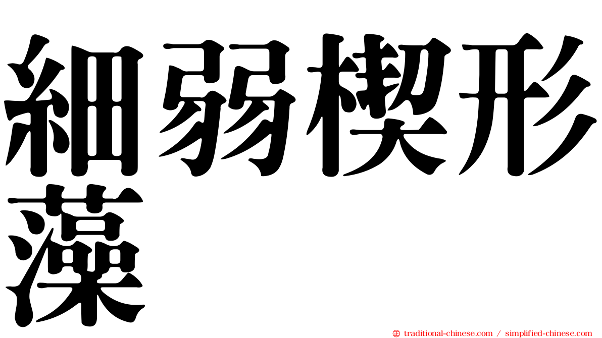 細弱楔形藻