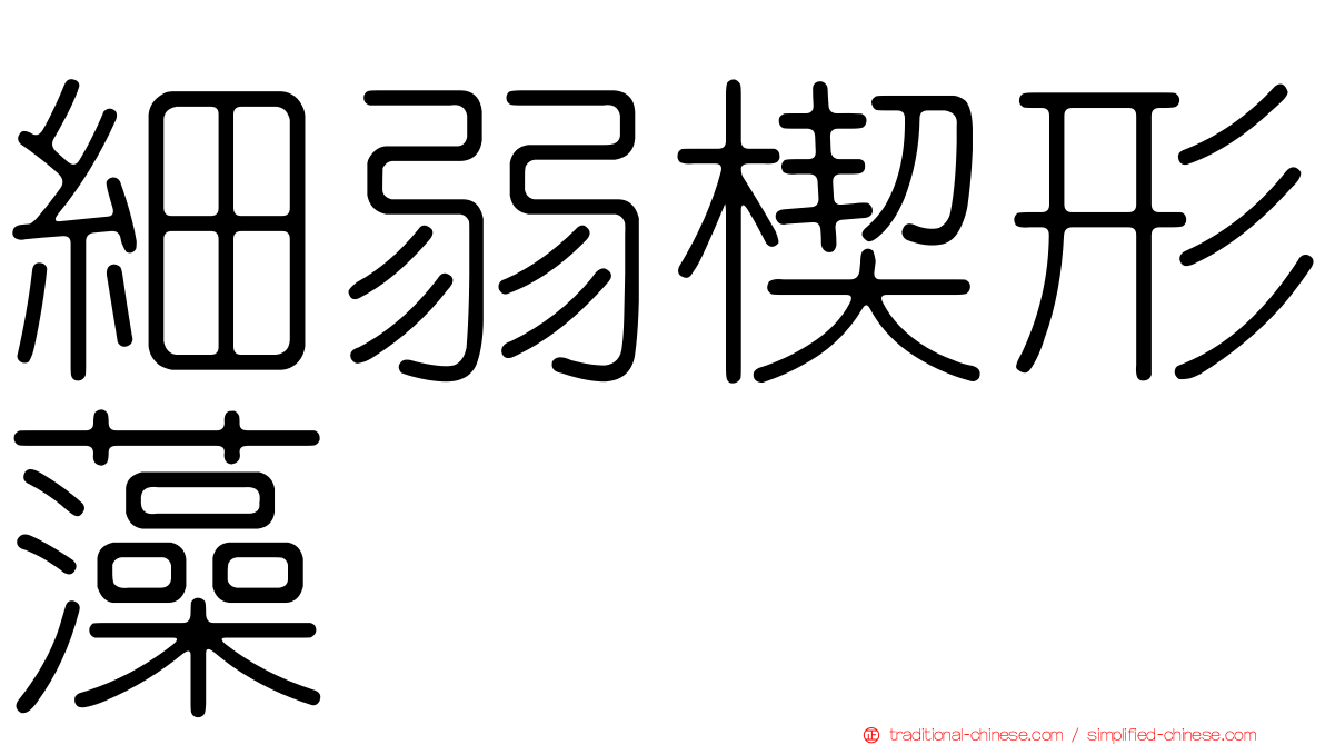 細弱楔形藻